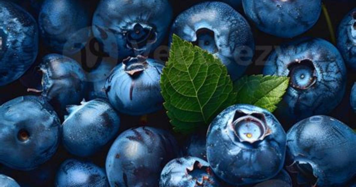 Are Blueberries Seedless