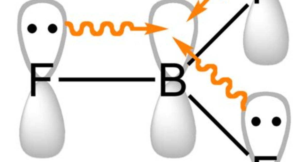 Are Boron Trihalides Covalent?