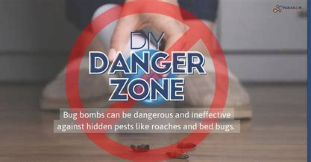 Are Bug Bombs Dangerous