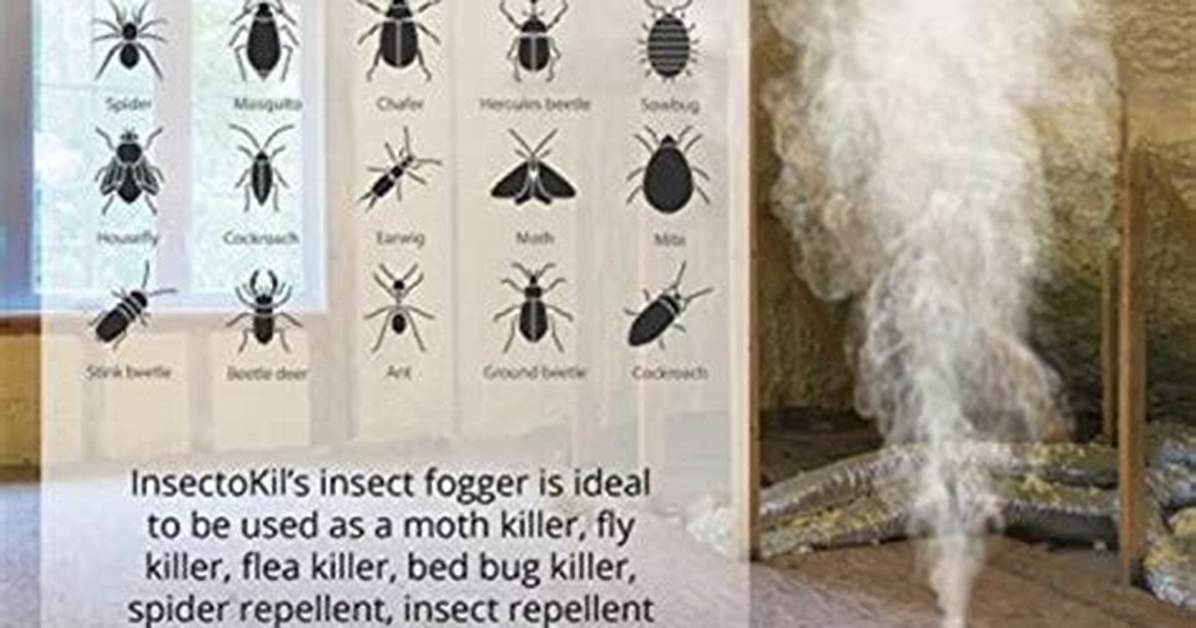 Are Bug Foggers Effective