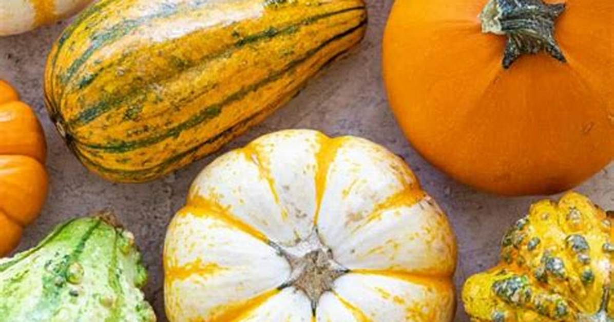 Are Bumpy Pumpkins Edible