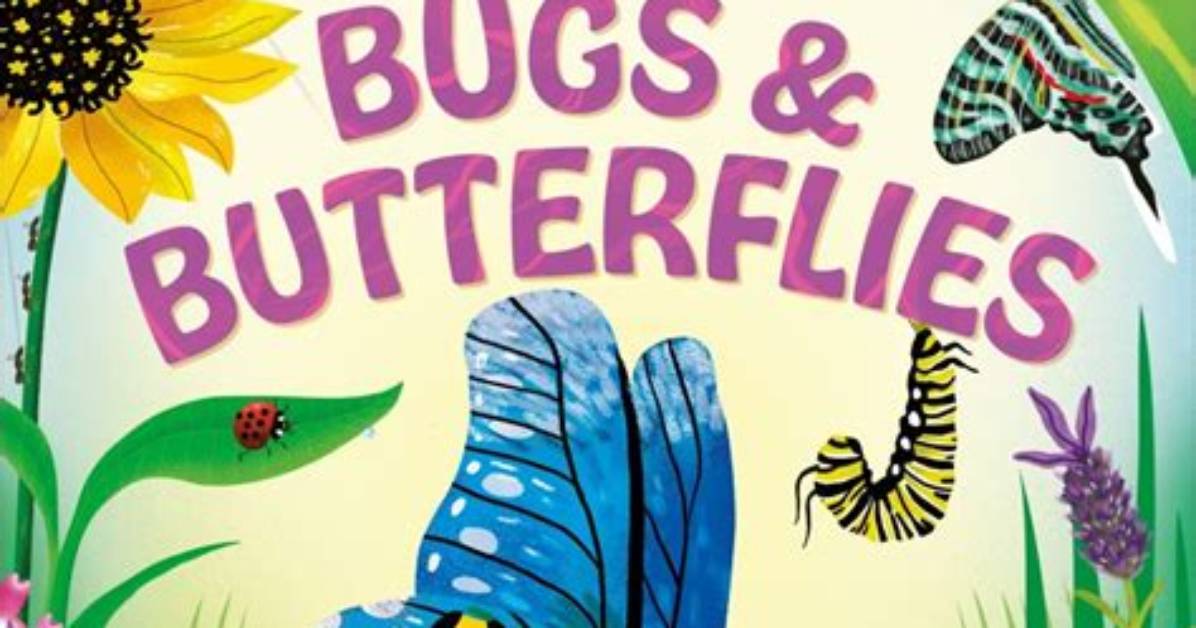 Are Butterflies Considered Bugs?