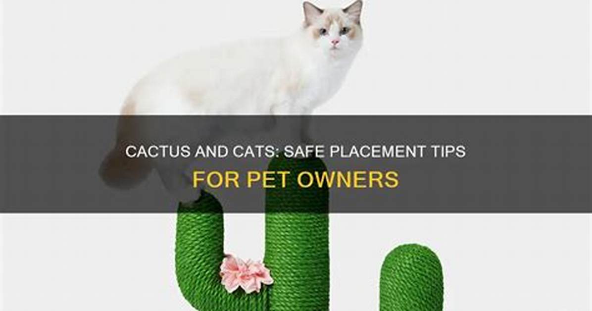 Are Cactus Safe for Cats?