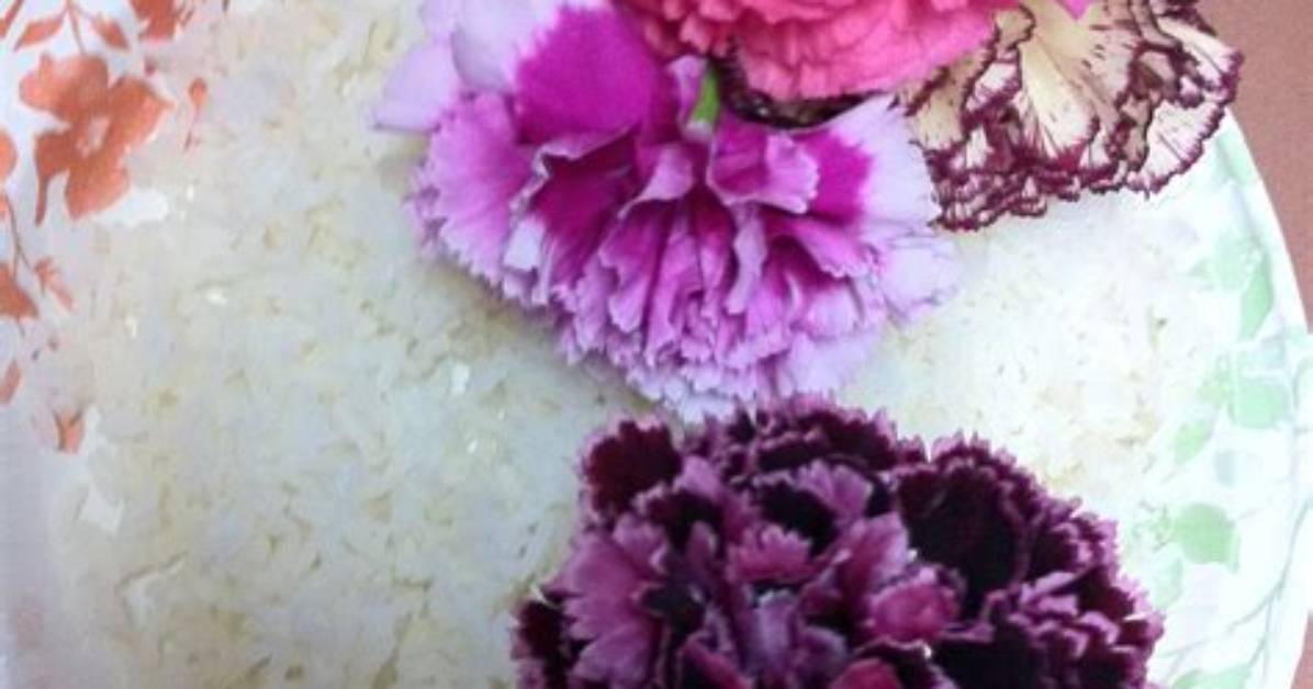 Are Carnations Edible?