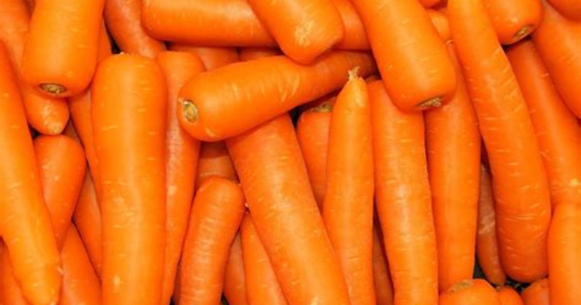 Are Carrots Orange
