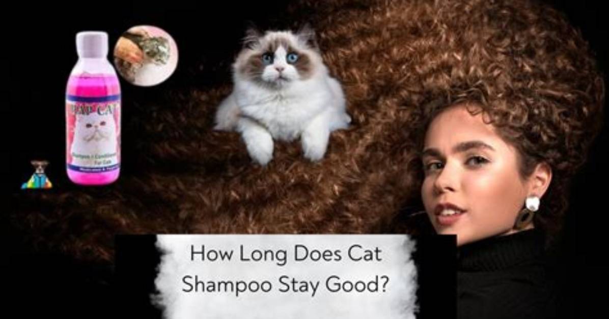 Are Cat Locks Any Good?