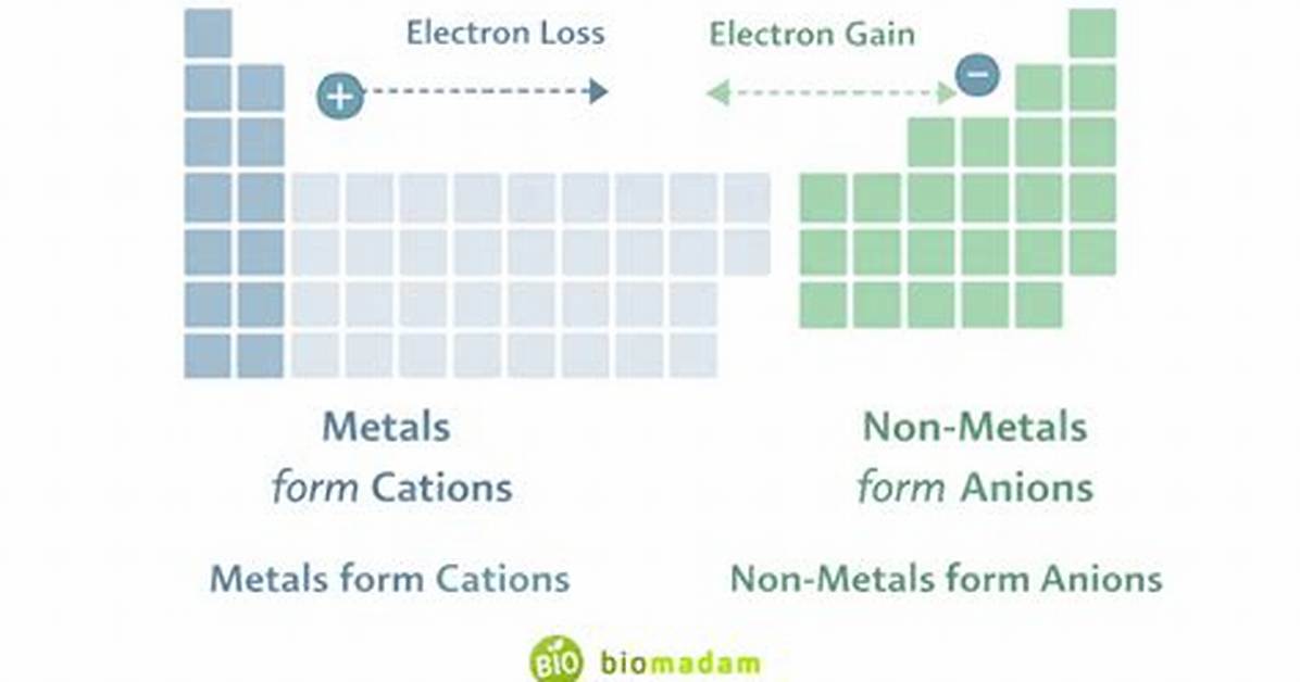 Are Cations Metals or Nonmetals?