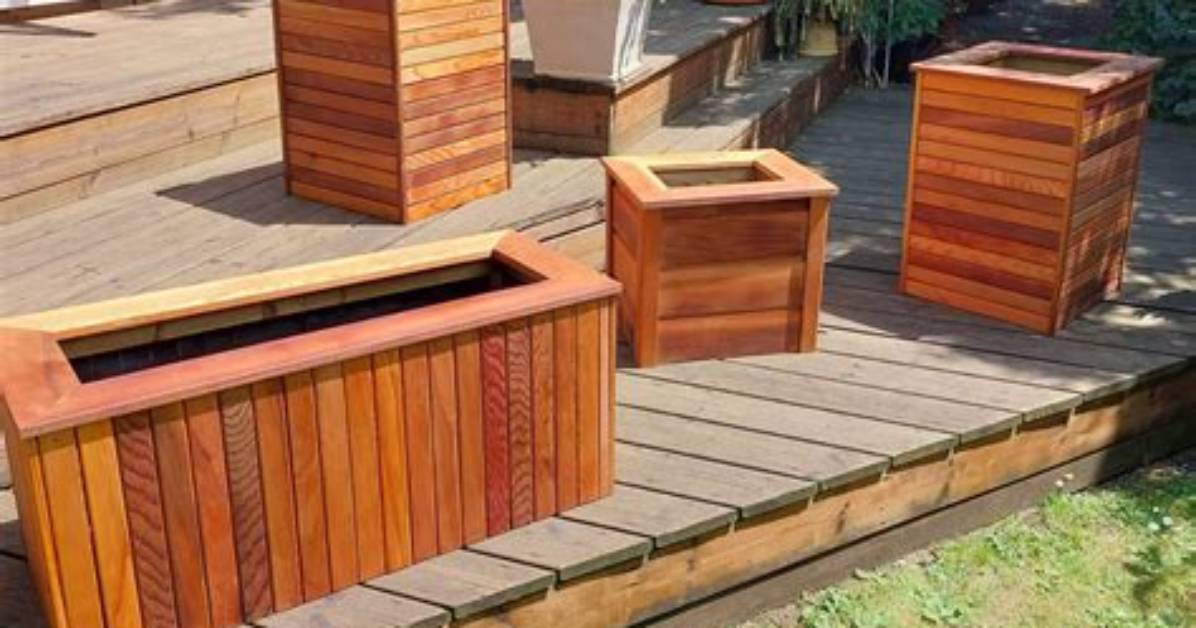 Are Cedar Planters Safe