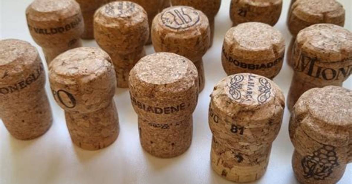 Are Champagne Corks Biodegradable