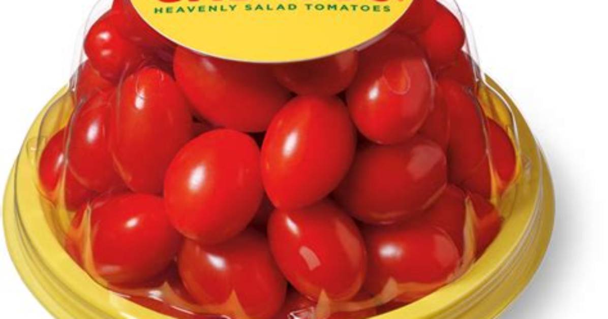 Are Cherubs Cherry Tomatoes