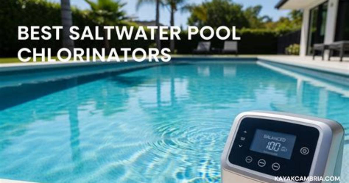 Are Chlorinators Worth It?