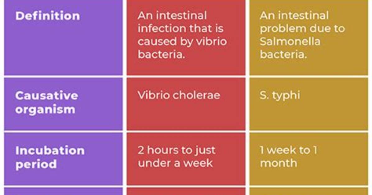 Are Cholera and Typhoid the Same?