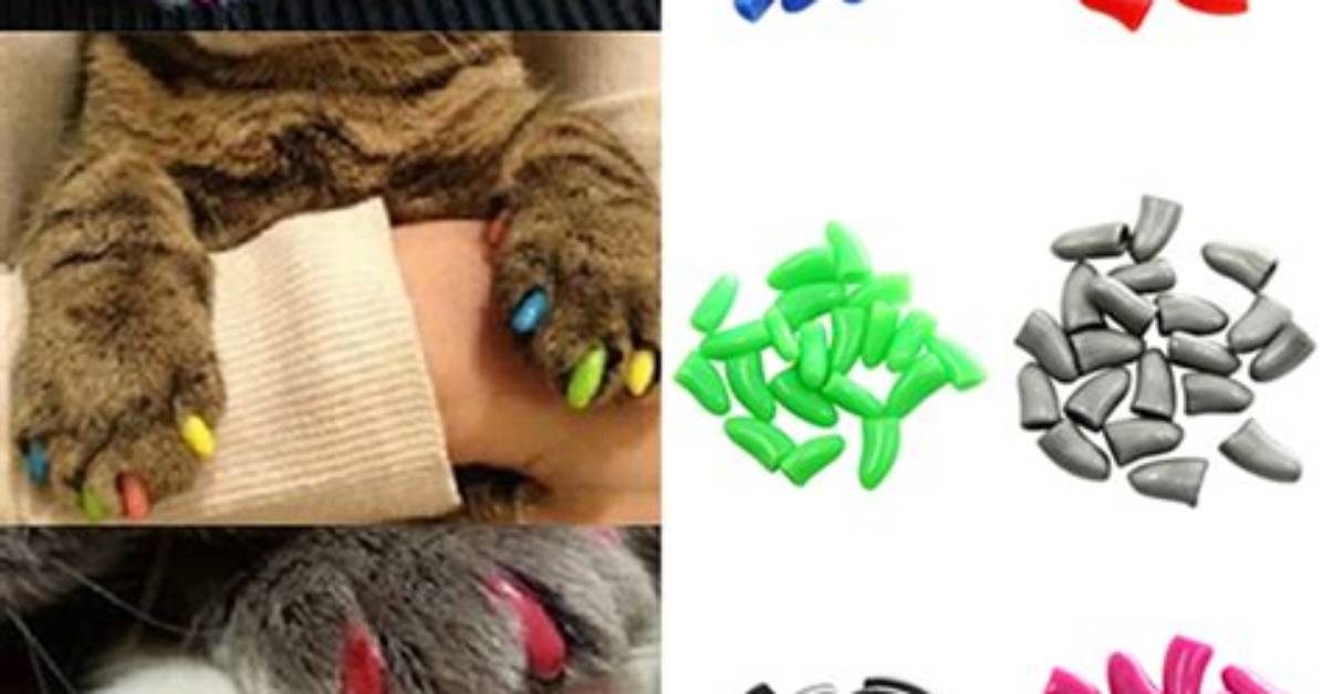 Are Claw Caps Abusive