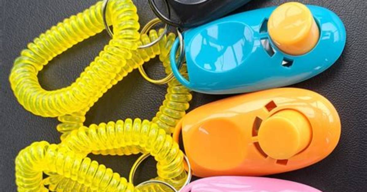 Are Clickers Reusable