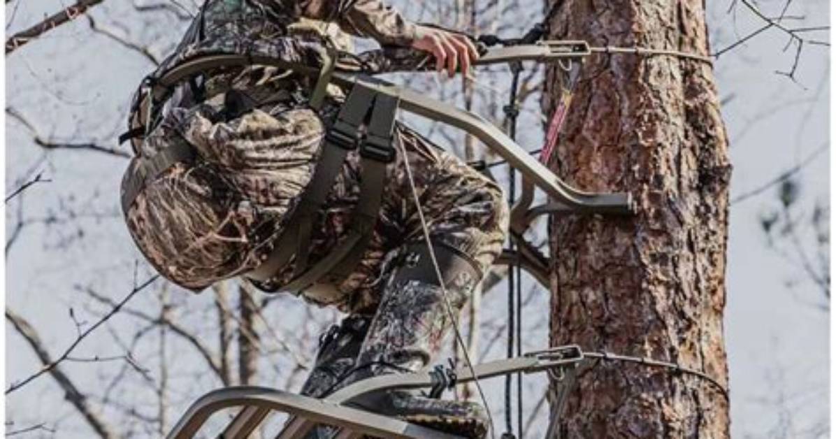 Are Climbing Tree Stands Dangerous?