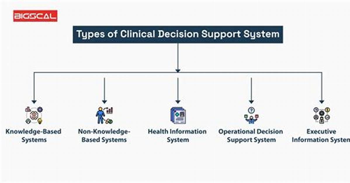Are Clinical Decision Support Systems?