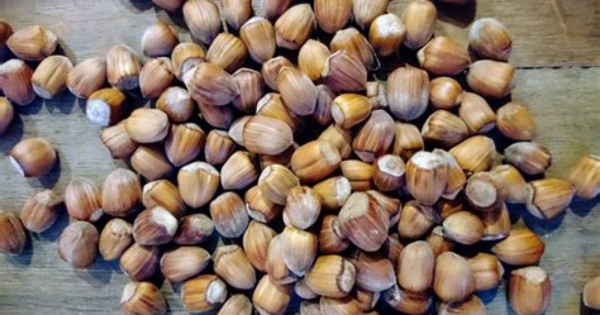 Are Cobnuts Good for You?