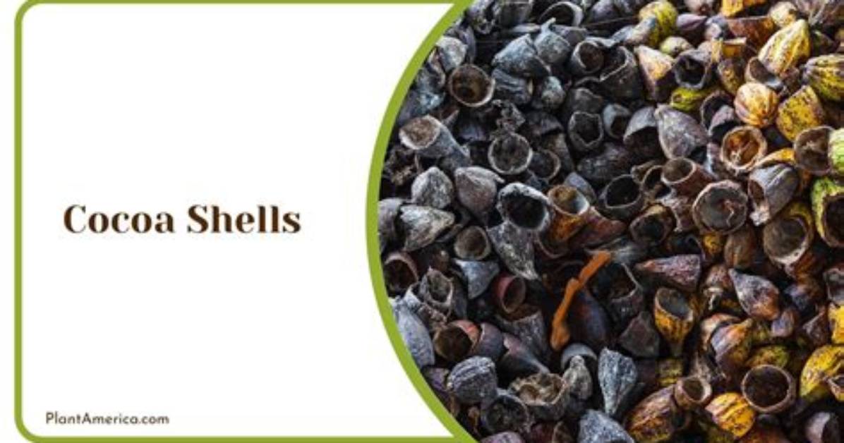 Are Cocoa Shells Acidic