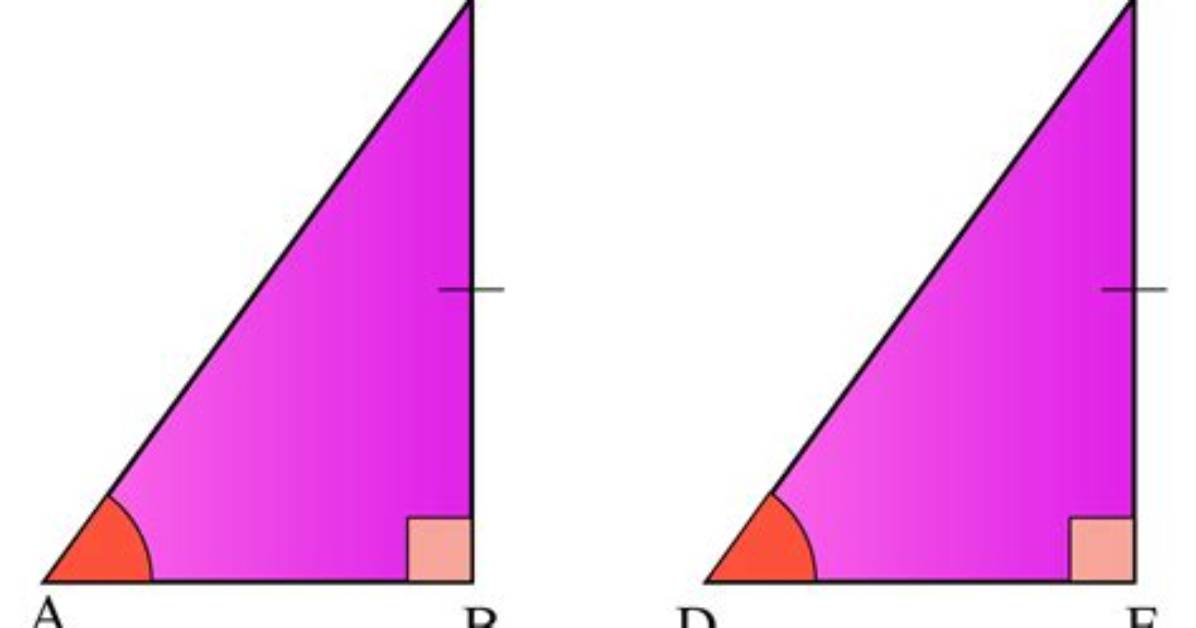 Are Congruent Right-Angled Triangles?