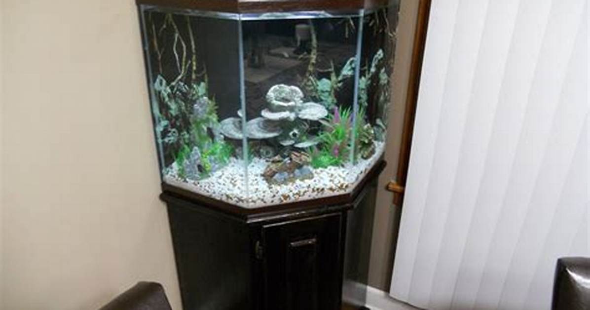 Are Corner Fish Tanks Good