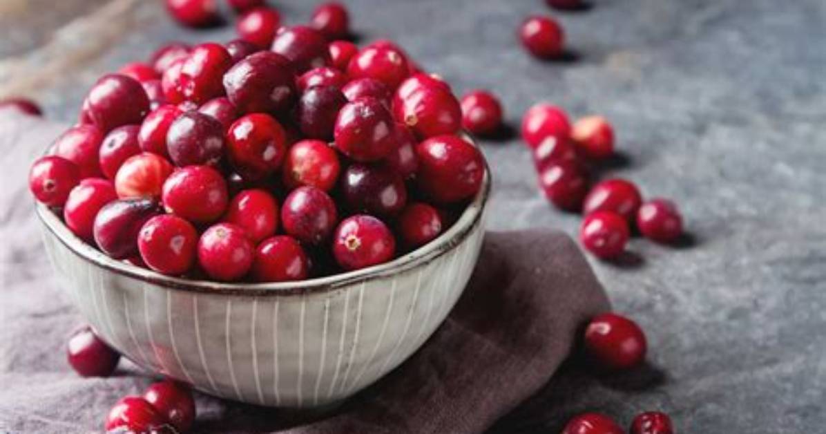 Are Cranberries a Fruit