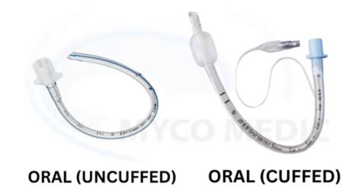 Are Cuffed and Uncuffed Ett the Same Size?