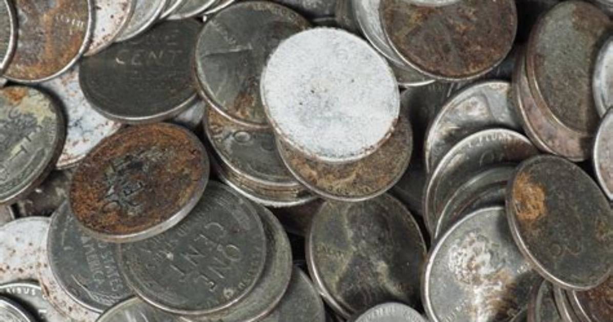 Are Culls Worth It?