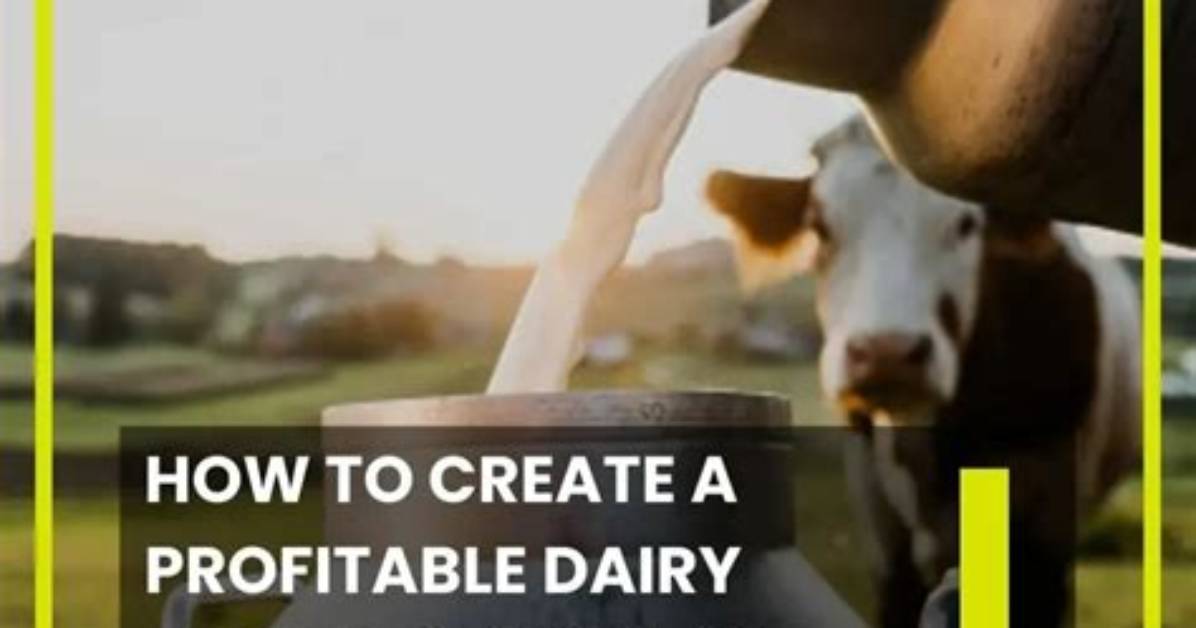 Are Dairy Farming Profitable?