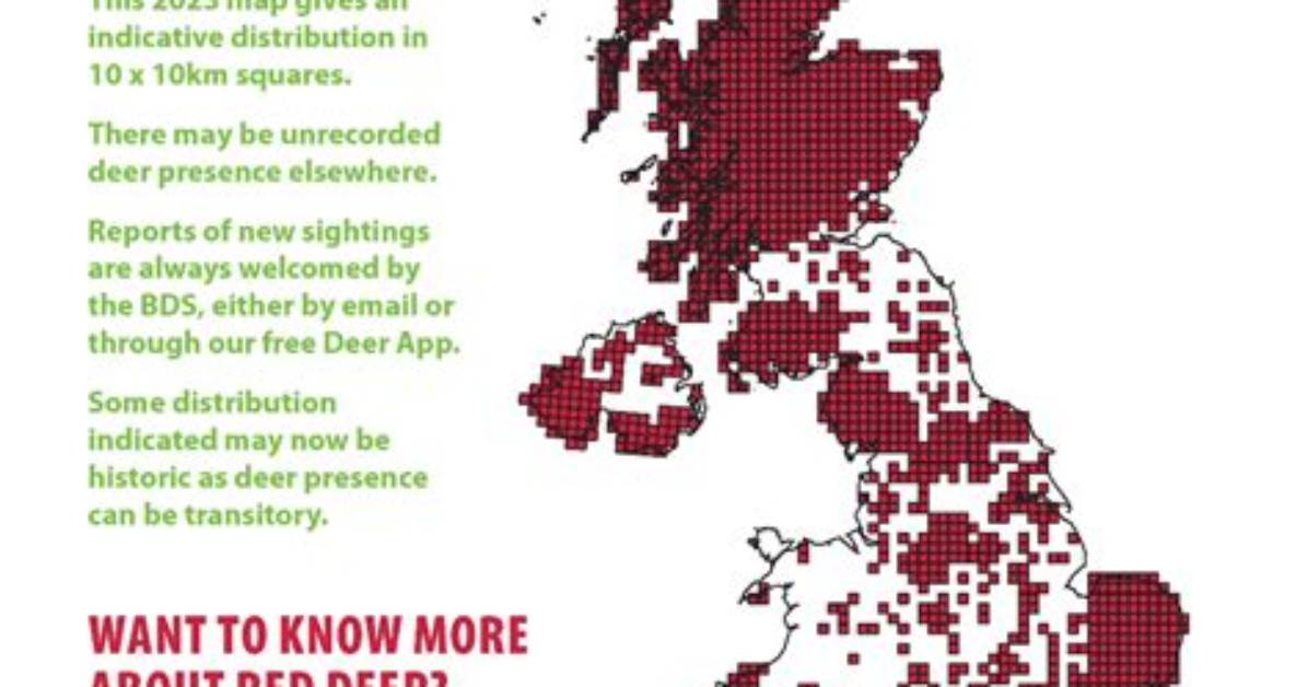 Are Deer Protected in Uk