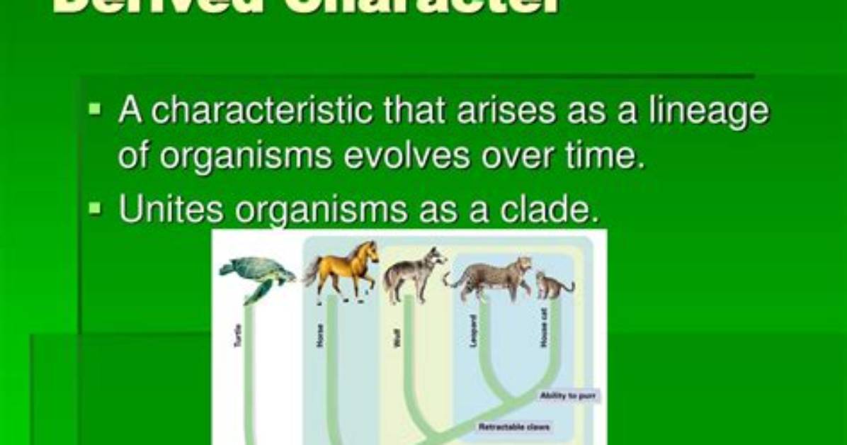 Are Derived from Meaning?