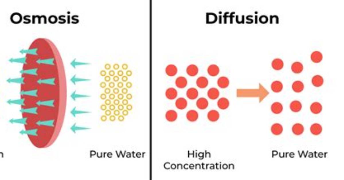 Are Diffusion and Dissemination the Same Thing?