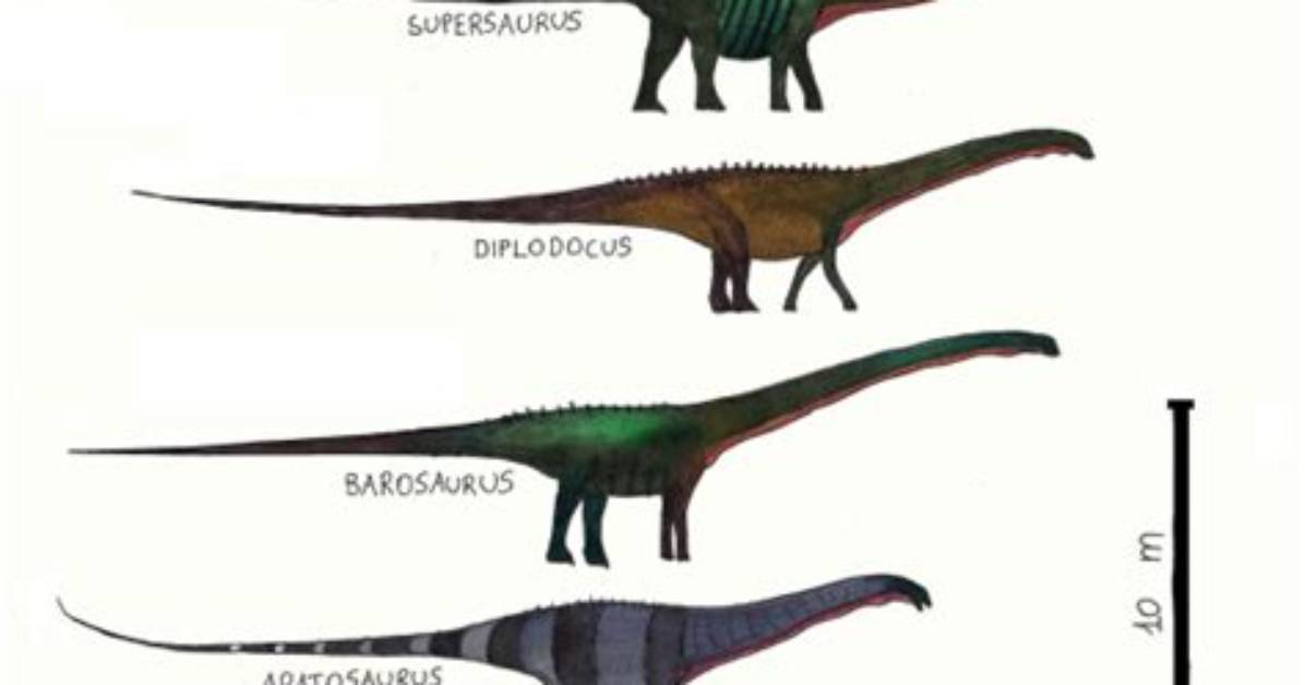 Are Diplodocus and Brontosaurus the Same?