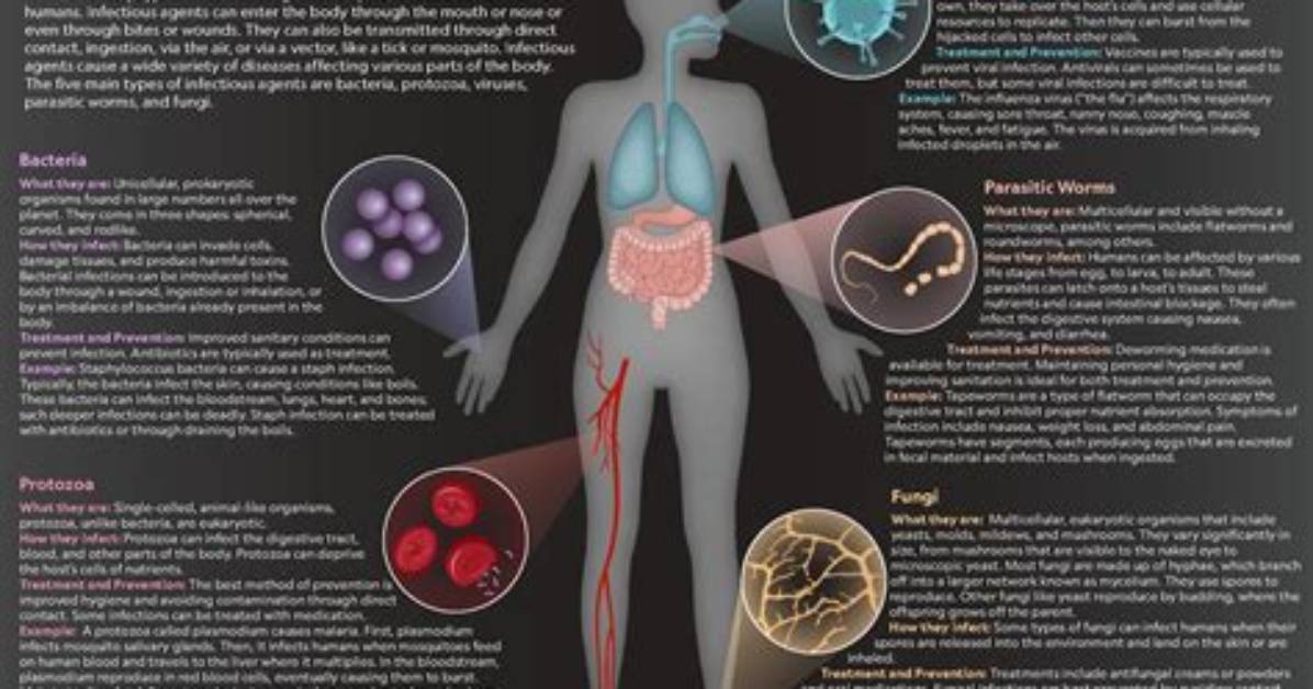 Are Disease-Causing Agents Such as Bacteria and Viruses?
