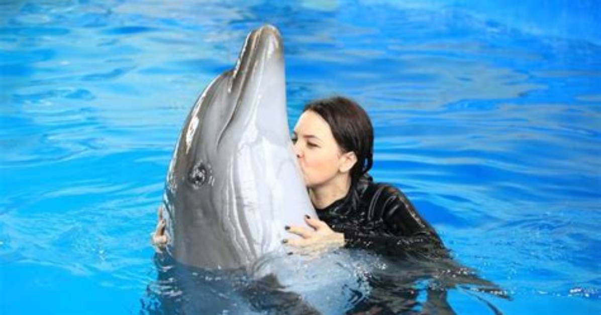 Are Dolphins Really Friendly?