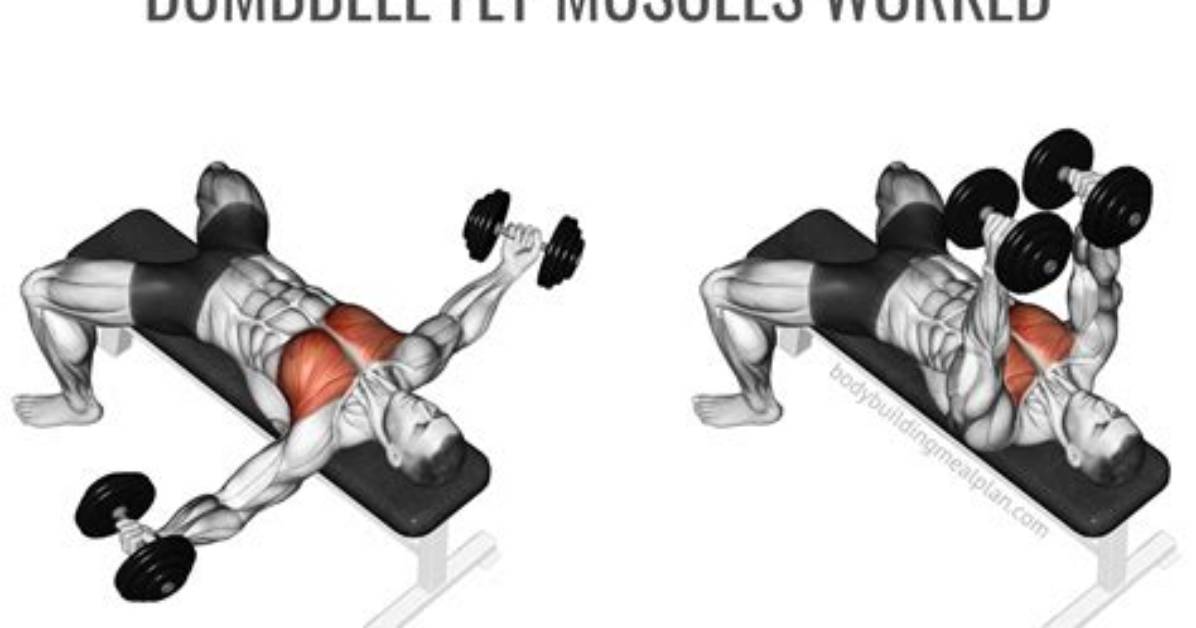 Are Dumbbell Flys Safe?