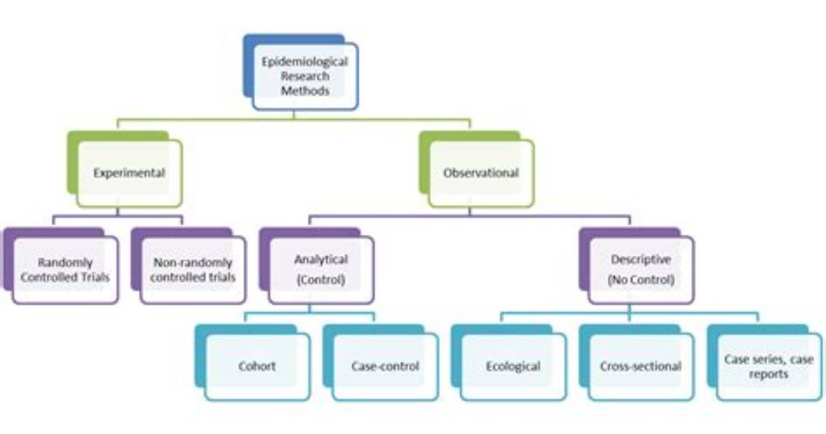 Are Ecological Studies Descriptive or Analytical?