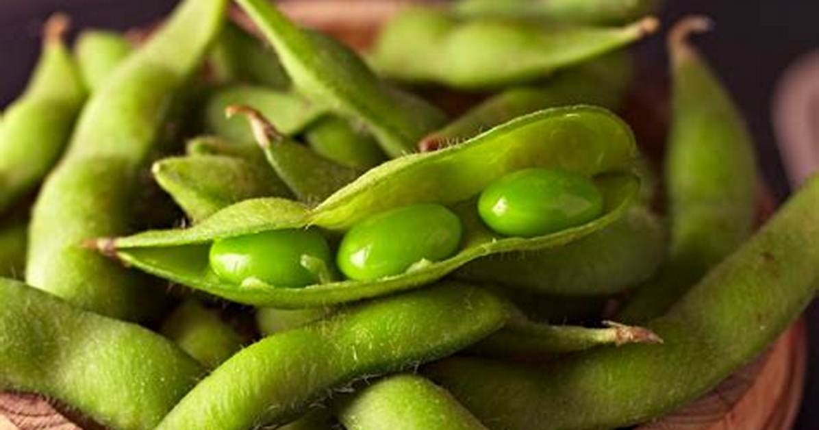 Are Edamame Shells Edible?