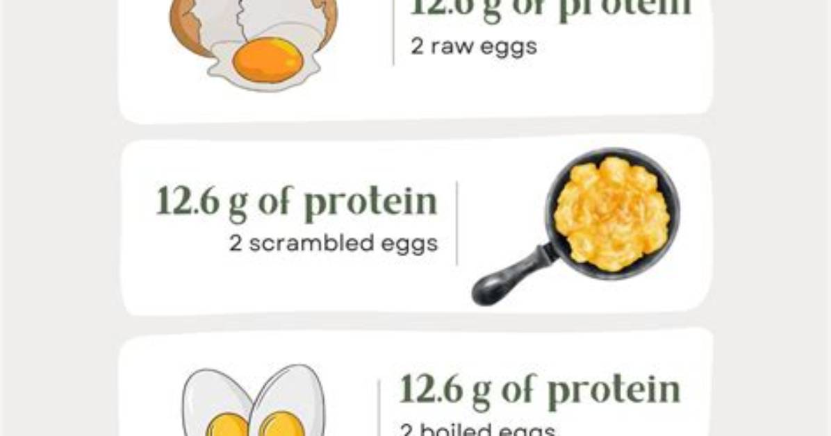 Are Eggs Mostly Protein
