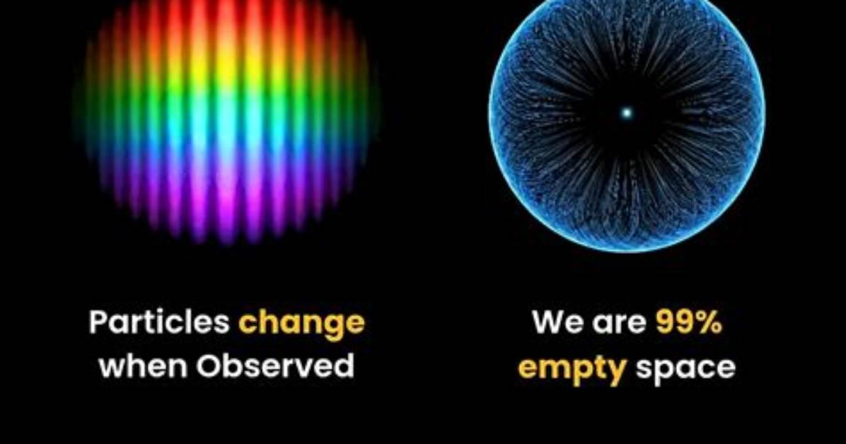 Are Far Removed from Reality?