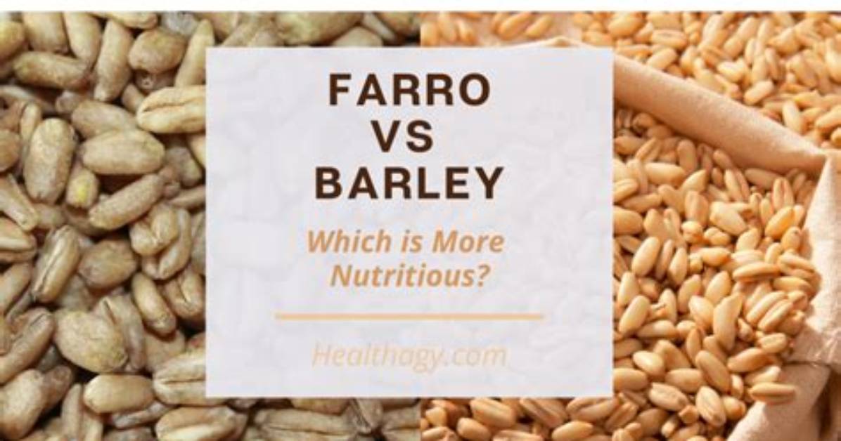 Are Farro and Barley the Same?