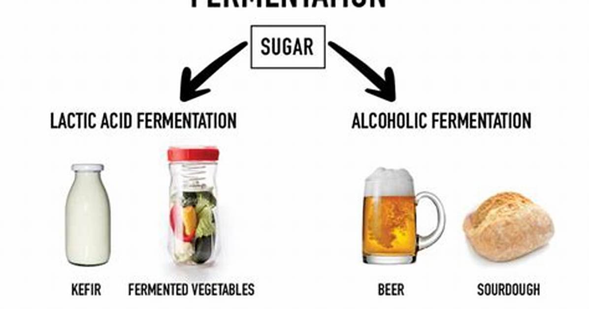 Are Fermentation and Pasteurization the Same Thing?