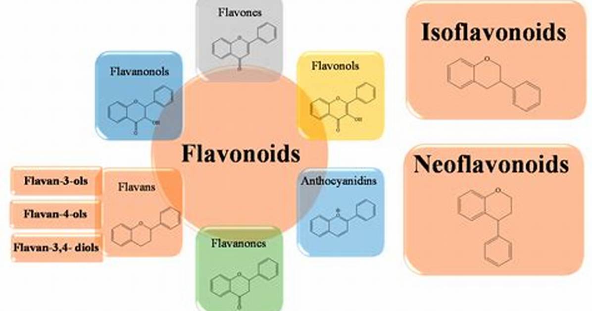 Are Flavonoid and Flavonol Difference?