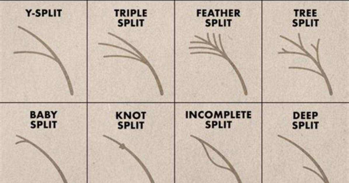 Are Flyaways Split Ends?