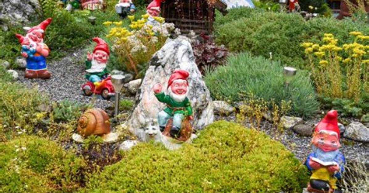 Are Gnomes Expensive