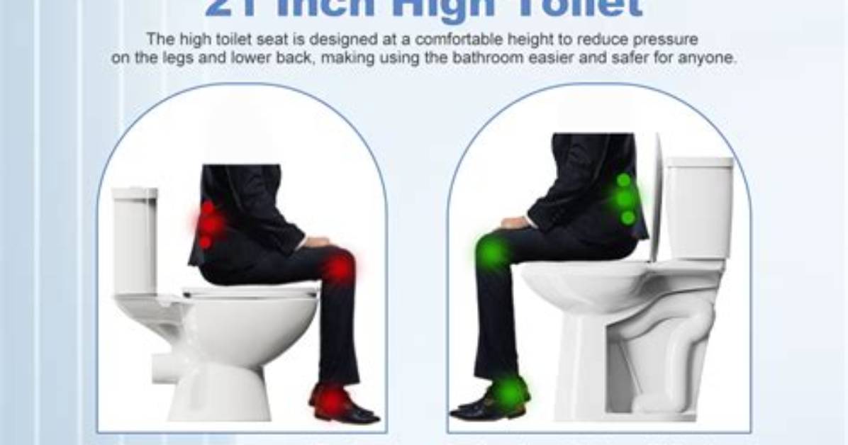Are Handicapped Toilets Higher
