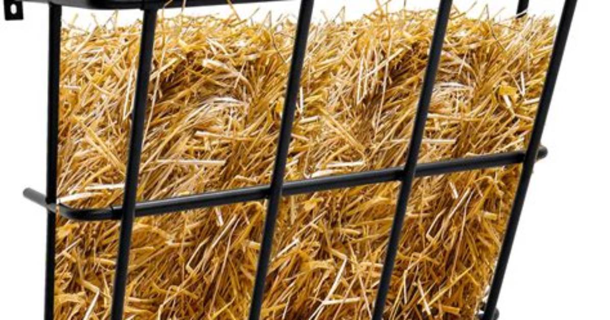 Are Hay Racks Necessary