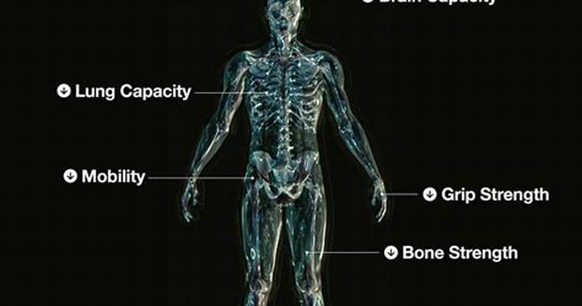 Are Humans Getting Weaker?