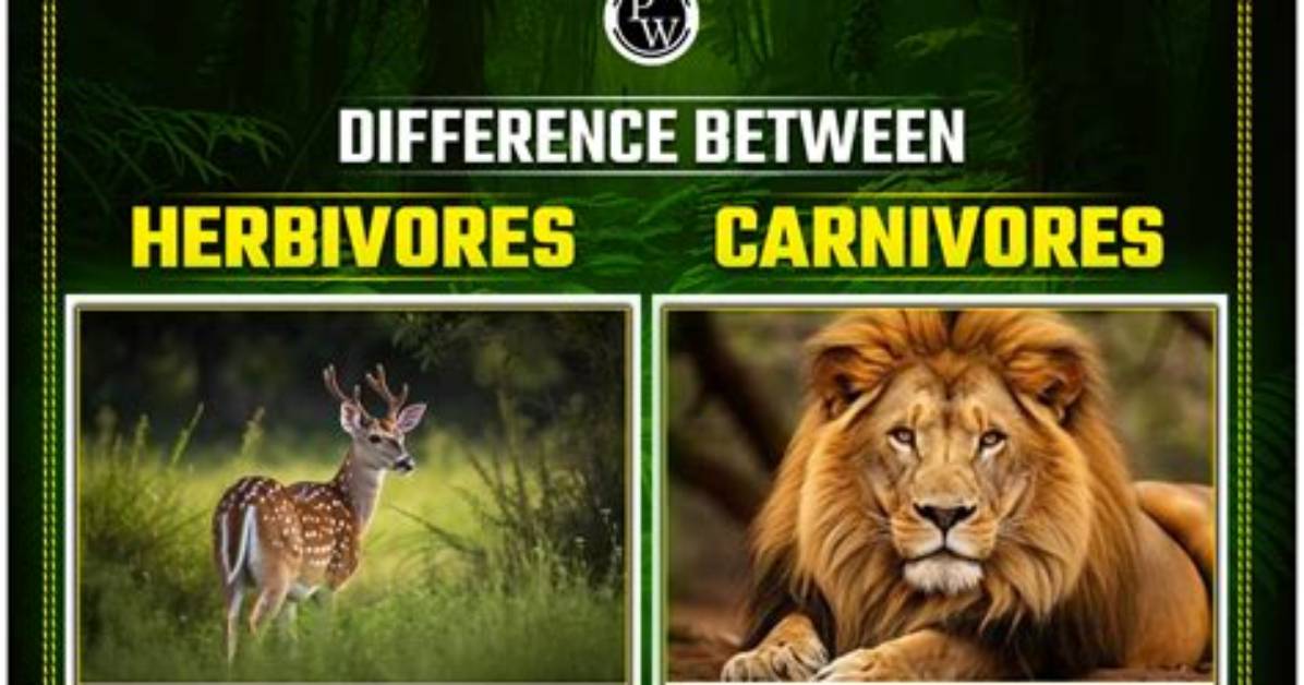 Are Humans Physiologically Herbivores?