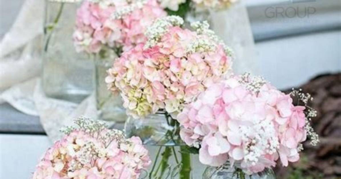 Are Hydrangeas Cheap for Weddings