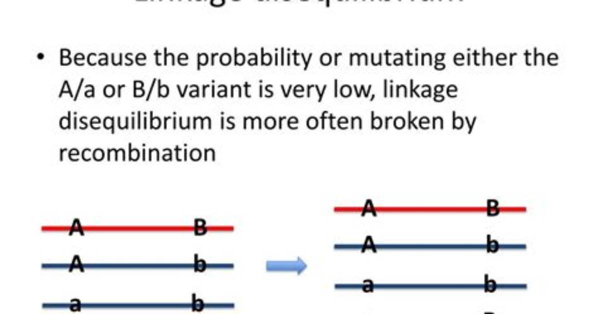 Are in Complete Linkage Disequilibrium?